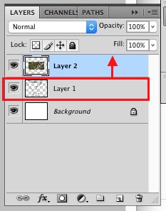 Drag Layer 1 Above Layer 2