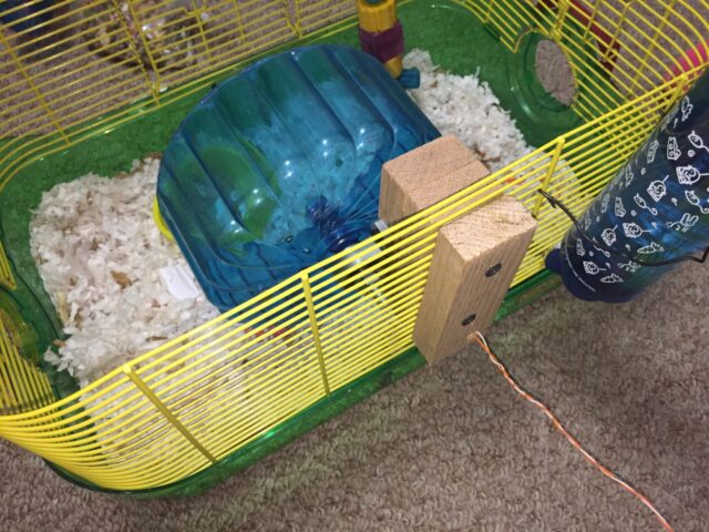 Mounted hamster wheel