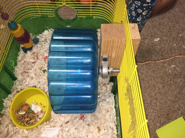 Side view of the mounted hamster wheel pedometer