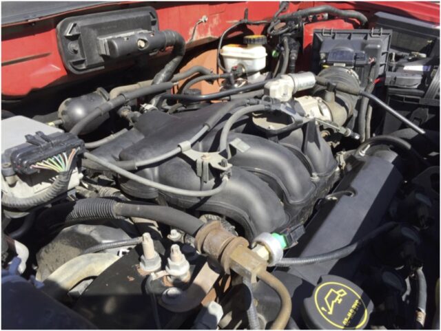 A clean engine bay needs some gloss