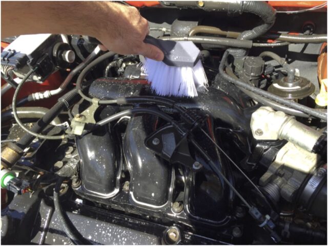 Gently and carefully scrub the engine bay components