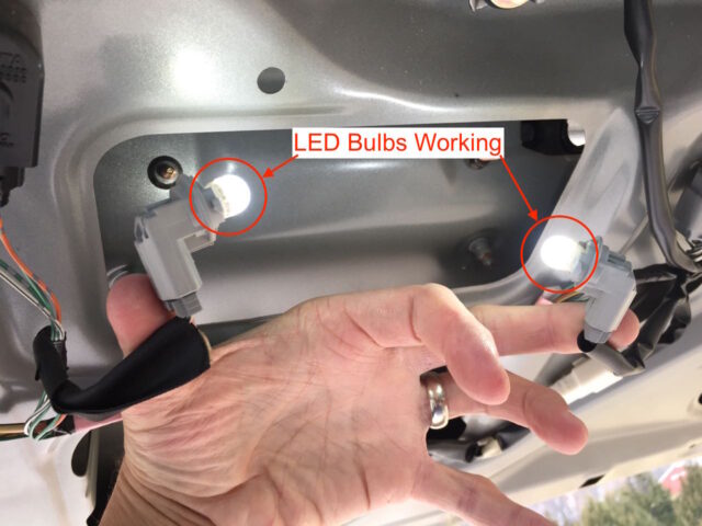 LED bulbs correctly inserted