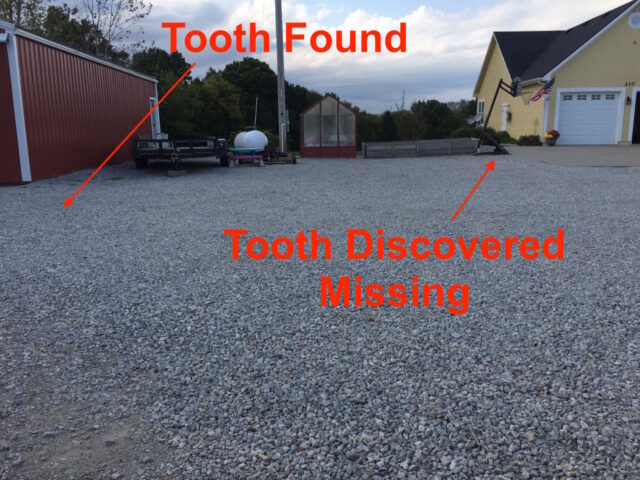 Location here the tooth was found