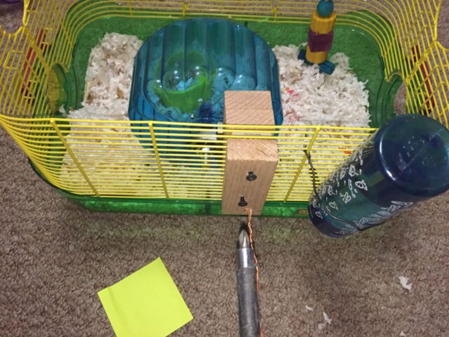 Mounting the hamster wheel on the cage with another block of wood