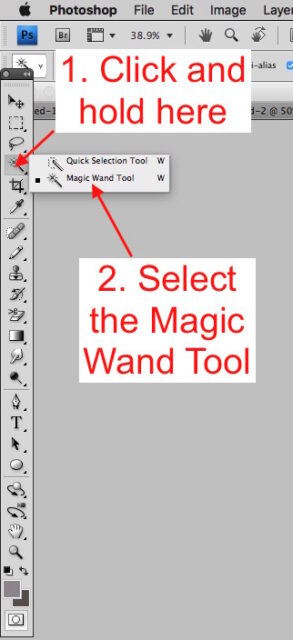 Selecting the Magic Wand Tool