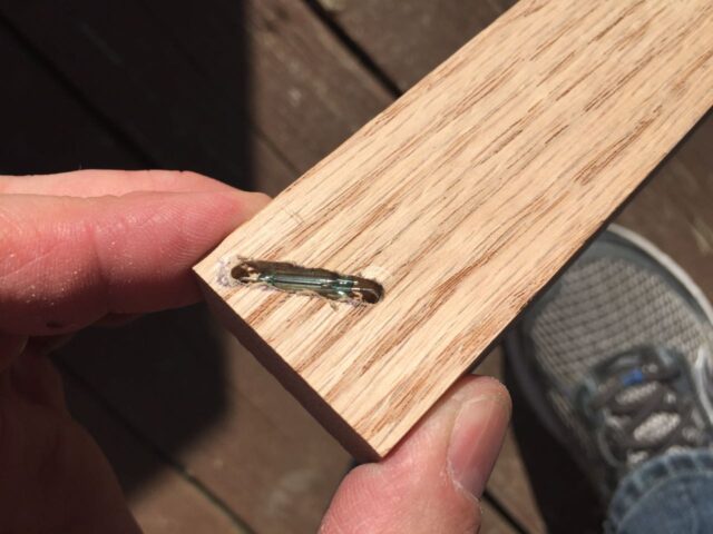 Reed switch mounted in trench with its legs inserted into the holes in the board