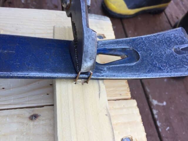 Removing Staples with a Pliers, Prying Against a Nail Bar to Avoid Wood Damage
