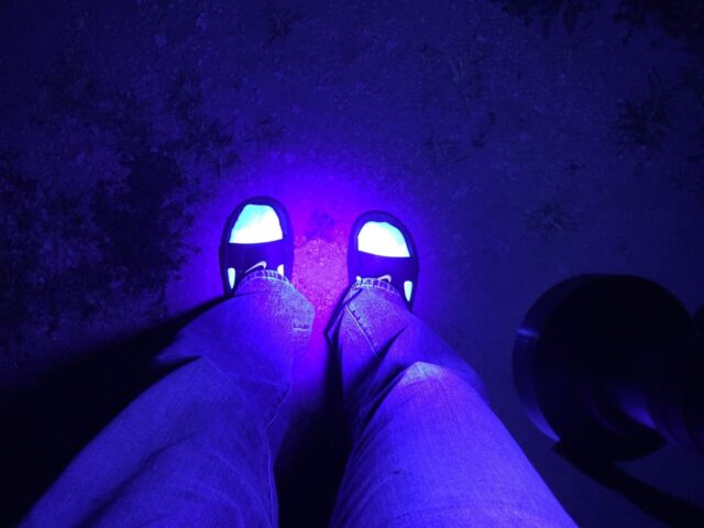 Socks gleaming under UV light