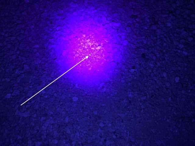 Tooth found with UV Flashlight