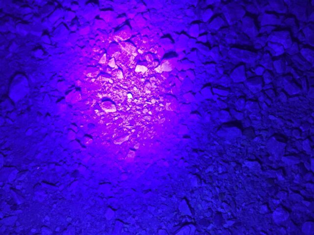 Close up of tooth found under UV light.