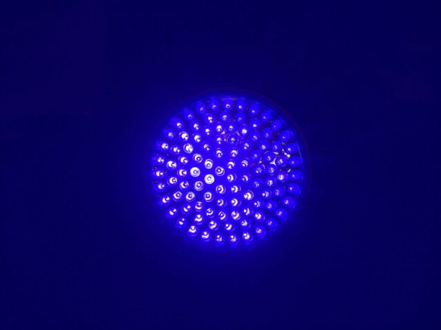 UV Flashlight On - Bulb End