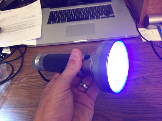 UV Flashlight On in Daylight