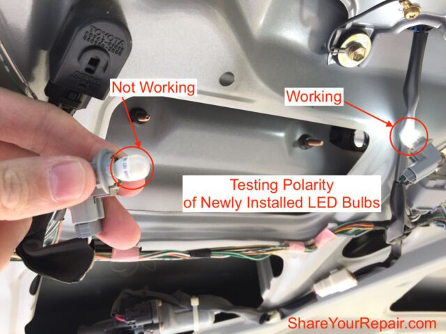 Verifying Polarity of LED Replacement License Plate Bulbs